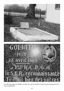 612 PARACHUTISTE AU 1ER RCP TOME III DE RENE SAUVAGE (97)
